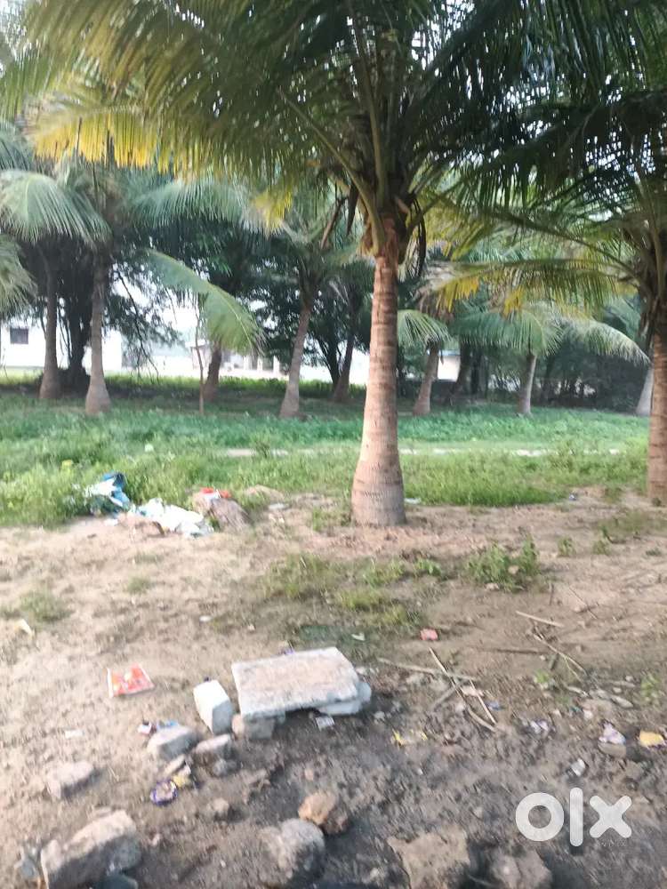 Agricultural land for sale low budget