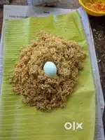 Chinese master