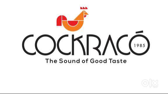 Accounts Executive with strong experience in Tally and GST filing