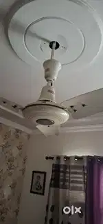 Ceiling fan 56 inch Usha brand