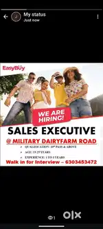 Store Sales Executive