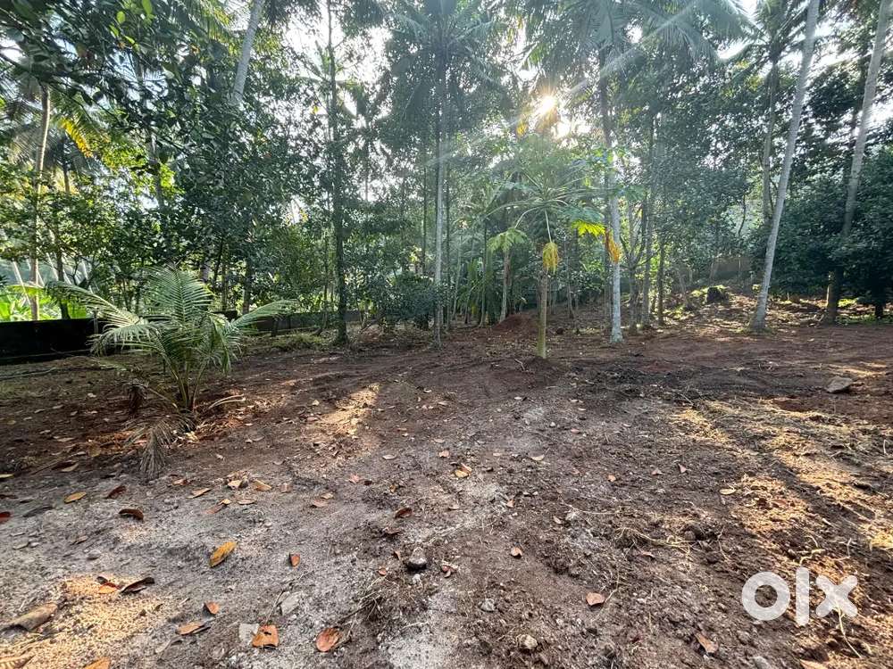 Prime Land for Sale in Kovalam, Venganoor