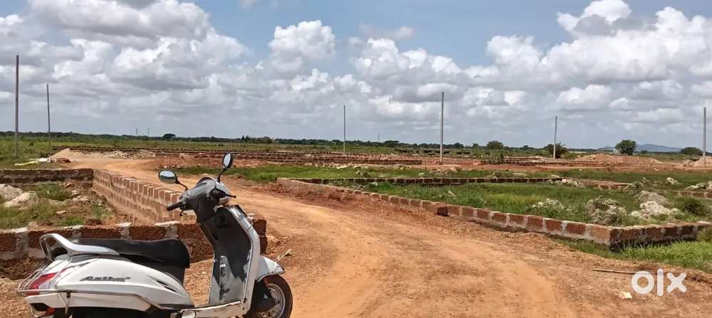 Plot for sale near Allms hospital back side