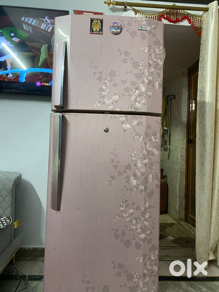 Lg double door fridge