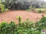 House plot for sale in Edathara, Palakkad