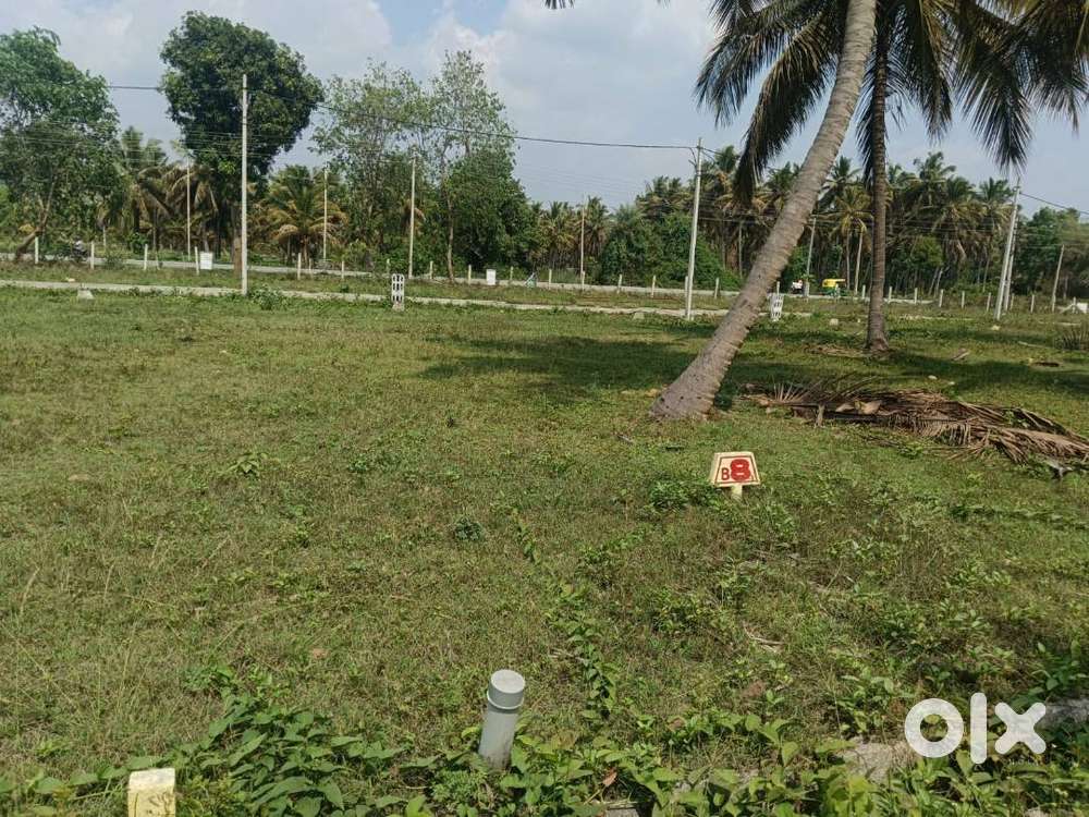 Residential Plot for Sale Near Nagamangala Kachenahalli