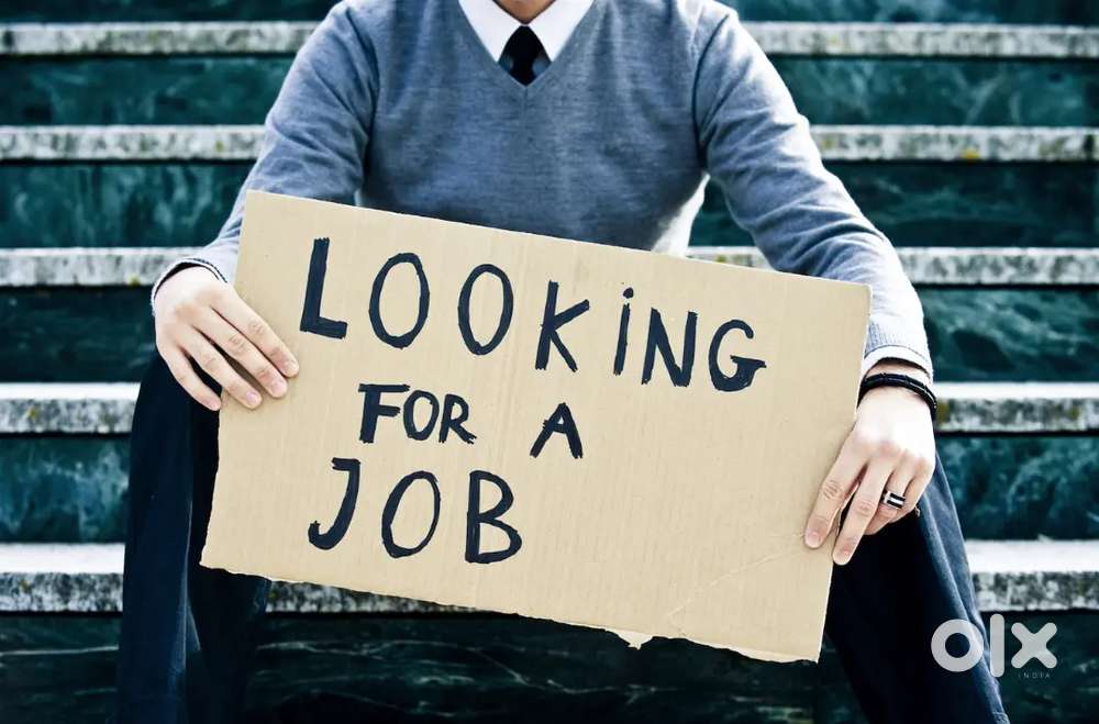 I need job iam looking for a job