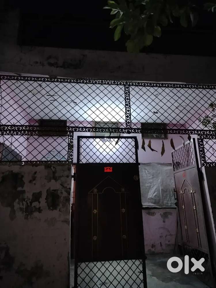 House is in the best society ever , near park