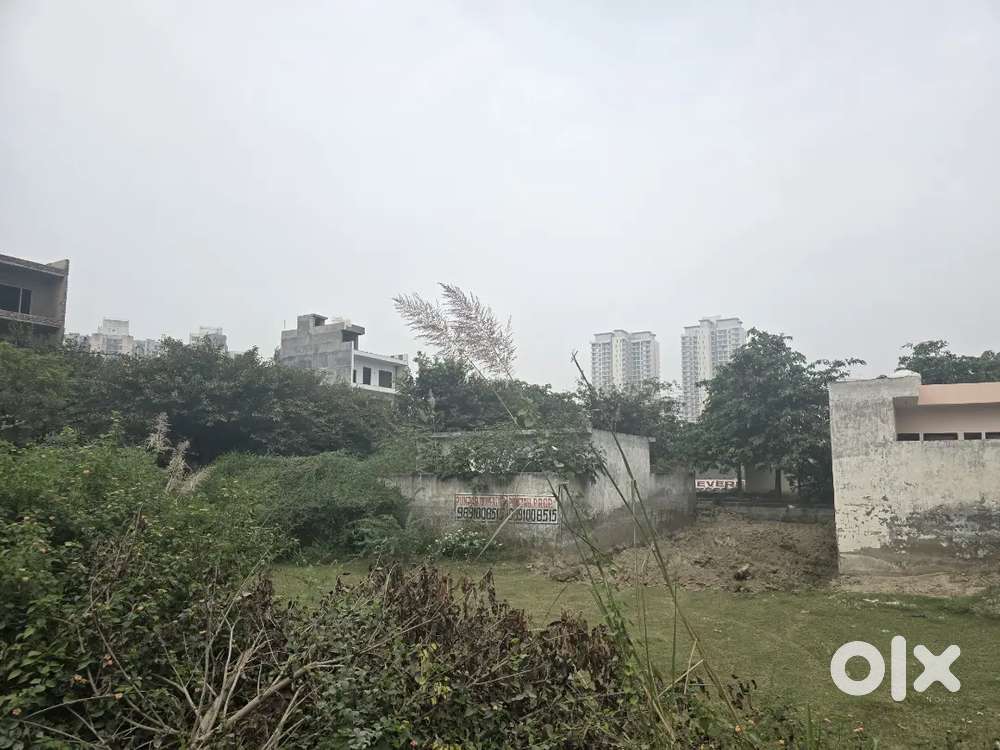 Accountant and data entry