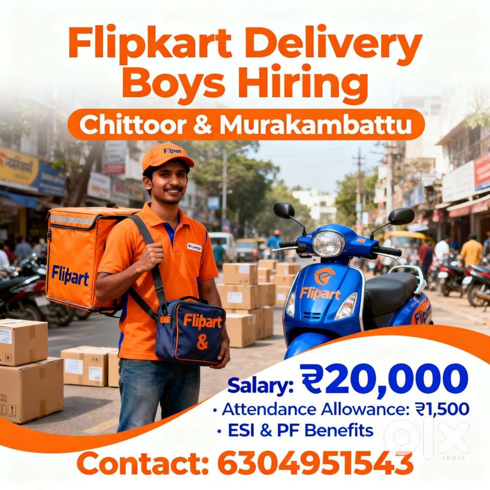 Van Delivery Executive