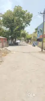 Individual house for rent