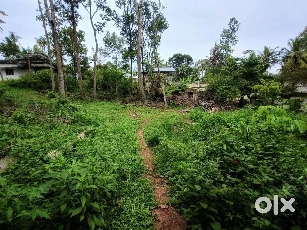 10 cent Residential Plot for sale in Swamiyarmadom, Chengottukonam