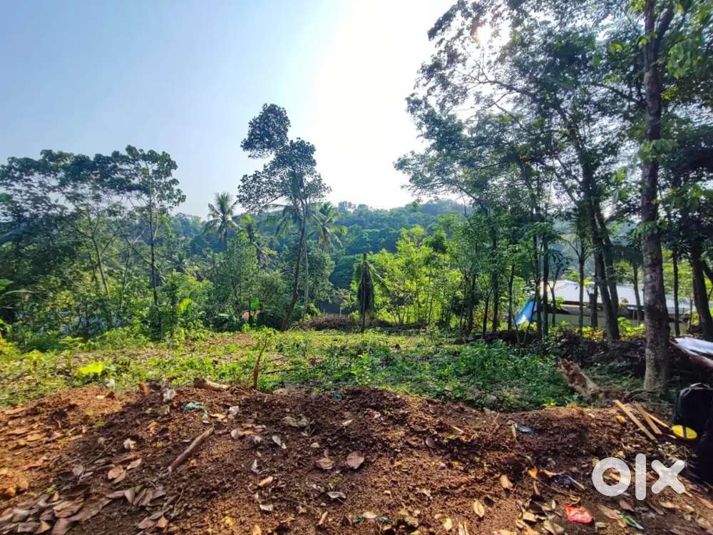 10 Cents of plot for Sale