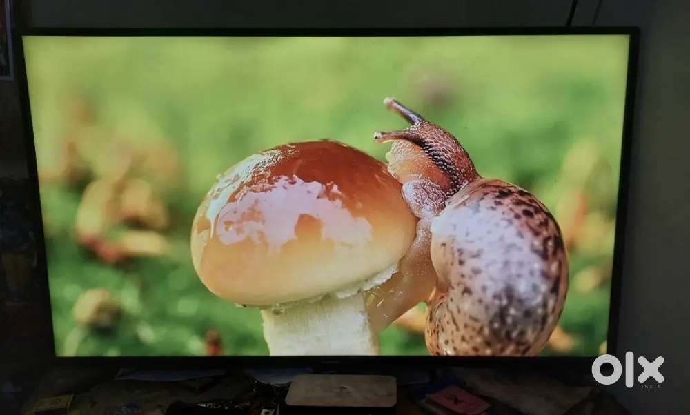 Samsung tv 43
