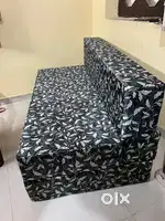 Sofa cum Bed