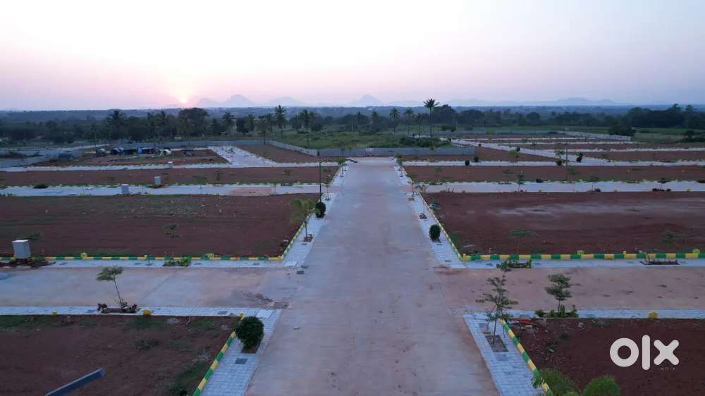 We have  a plots for sell