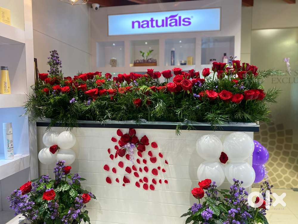 Salon manger ( Female )