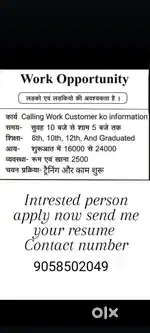Brand promotion make in India made in India