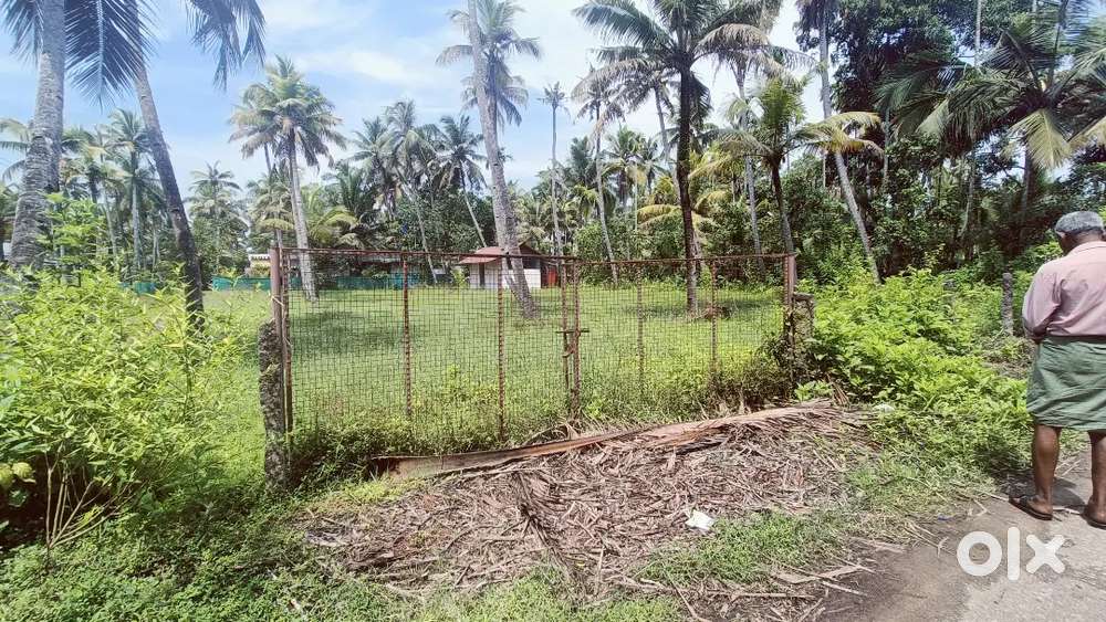 15 cent plot for sale road side