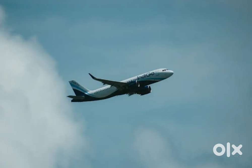 Urgent Requirement For ground staff jobs in fresher Candidates