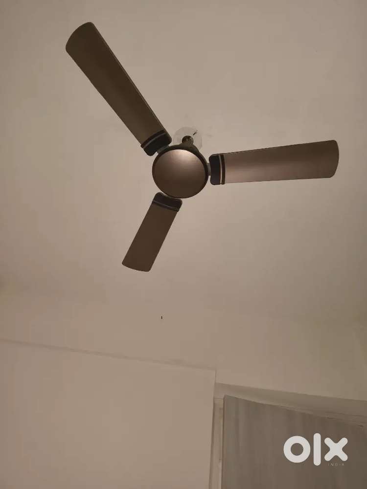 Need a room mate in 1 bhk room with all accessories gas,fan,etc