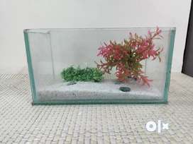 Small size Aquarium