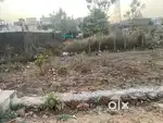 Selling plot