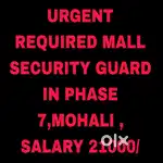 Mall Security Guard Job Phase 7,Mohali