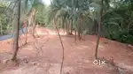 Land sale 28 cents individual owner