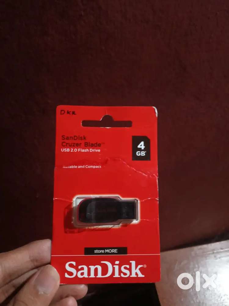 Pen drive (San Disk 4GB )
