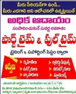 Mayura company   work from home
