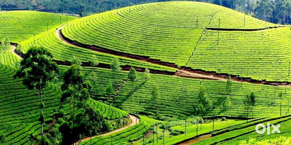 3 Acres for sale in Ooty with 40000 sqft Commercial License