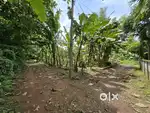 14 Cent Plot for sale in Vennur near Annamanada,  Thrissur