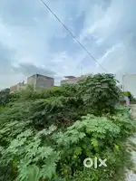500 meter from main road and near by Jaipuriya college