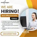 Back Office Executive