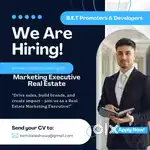 Marketing Executive
