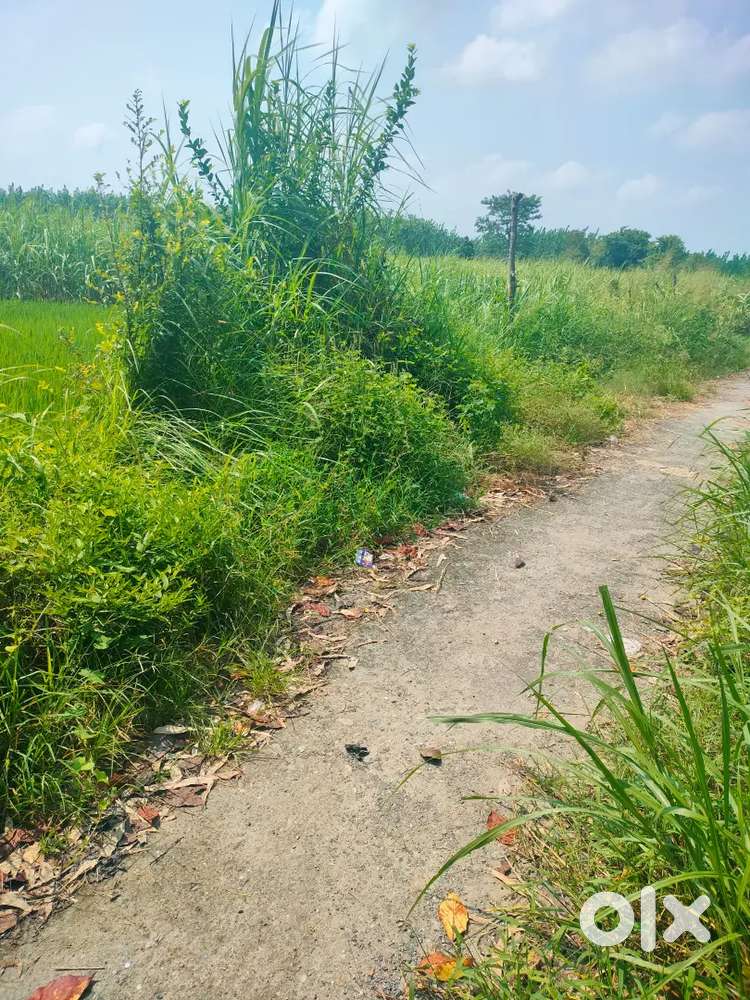 आवासीय प्लॉट बिकाऊ, तीन पानी, हल्द्वानी मै, बरेली रोड़ से 400 मीटर