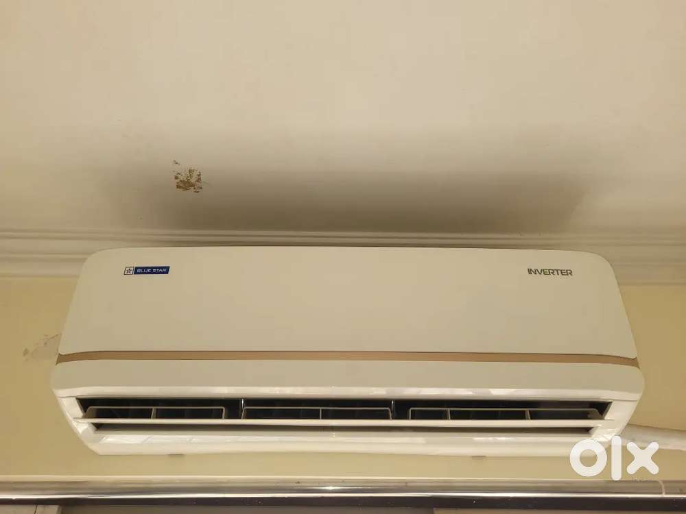 Blue star inverter Ac