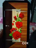 नवीन दरवाजा आहे..