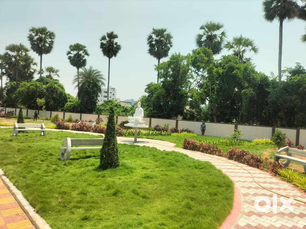 Loyal MVR Nagar-RajuLa Tallavalasa