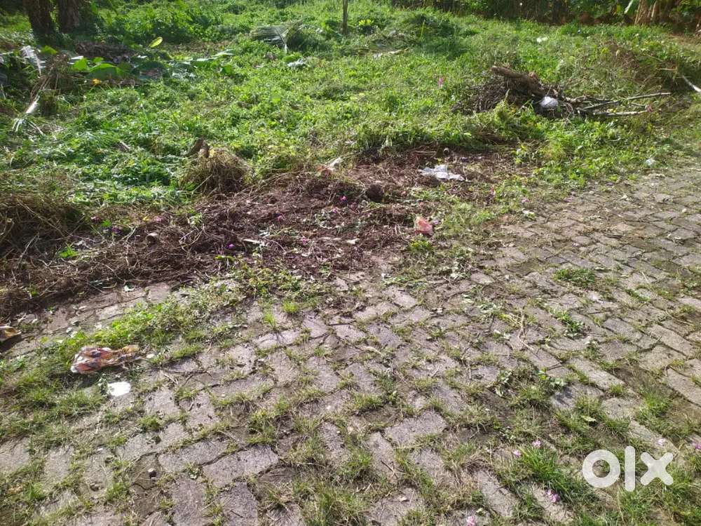 Kakkanad navodaya 5 cent plot for sale per cent 12 lakhs