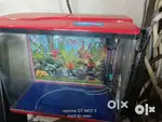 Aquarium with motor