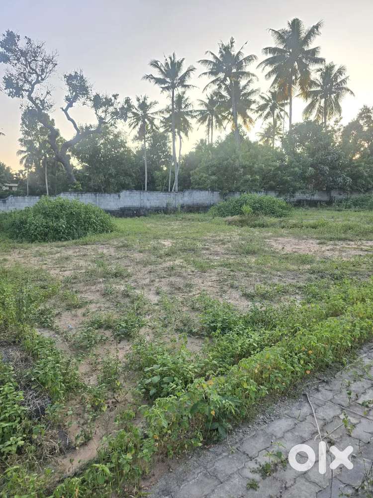 7CENT HOUSE PLOT TECHNOCITY MANGALAPURAM 25MTR NH47