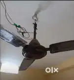 Fan       .