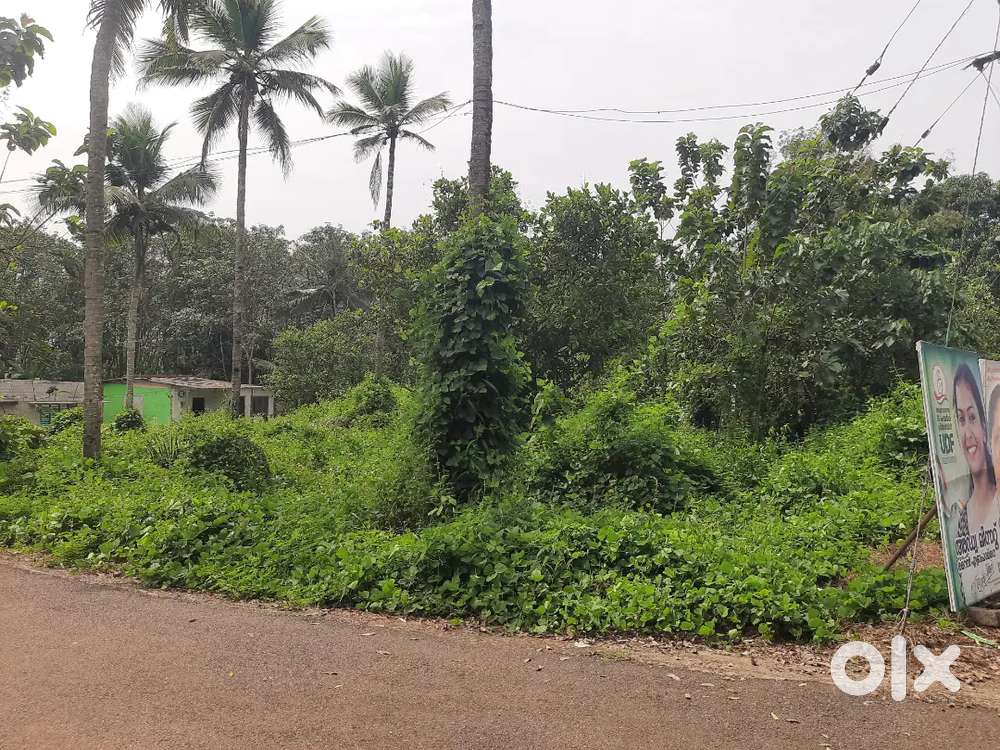 20 cent plot for sale 2 km from adoor bypass road