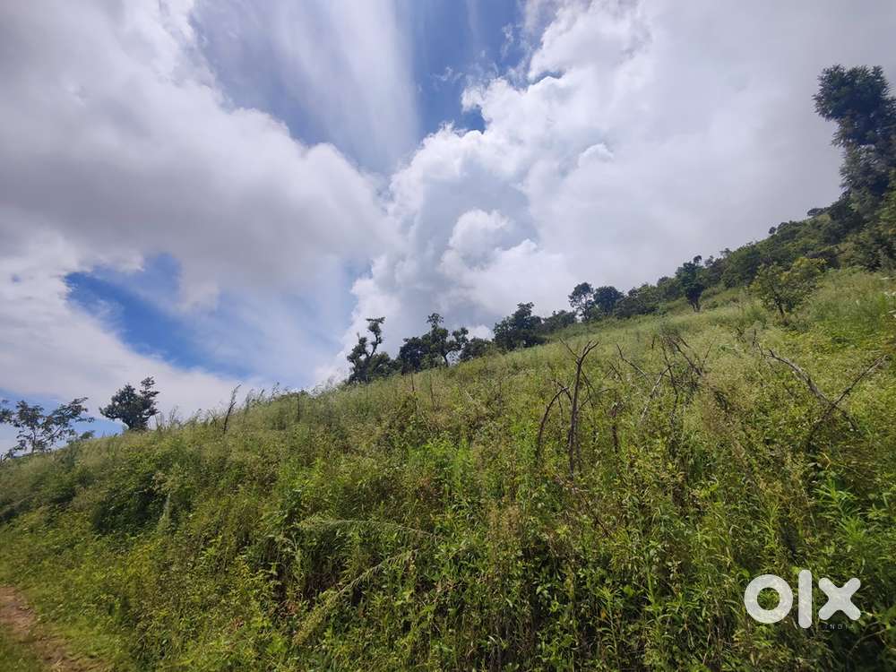 Land for sale in vilpatti limit