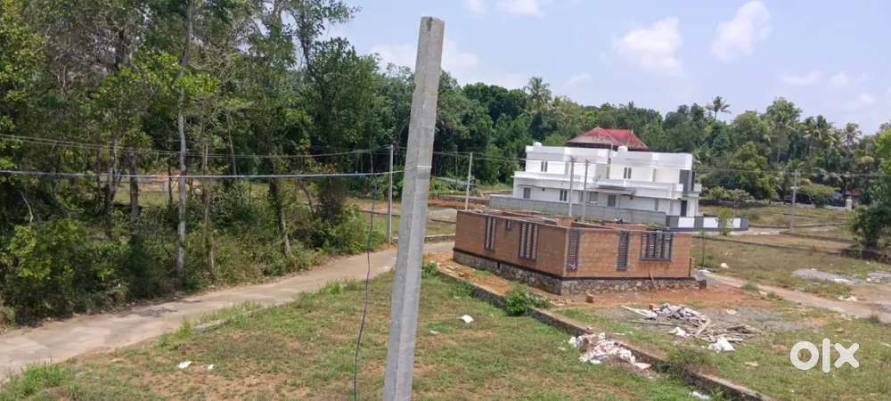 Angamaly near st. Antony's church  beautiful house plots