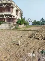 Bardhaman Raynagar Notunpara Plotting Kore Jayga Bikri Hocche
