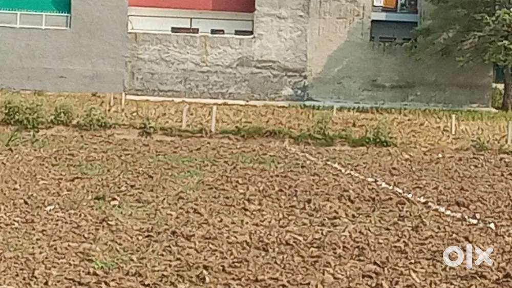 Pre launch Plots for sale in sector 123 chirag homes sector 123