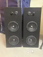 FOCAL speakers custom made for HOME USE.